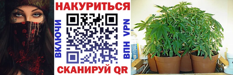 Марихуана конопля  Инта 